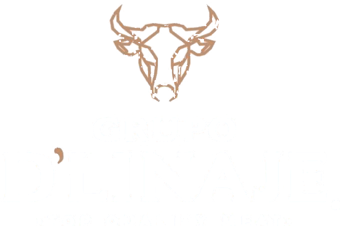 Grupo D'Linaje